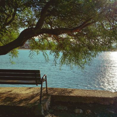 bench-daylight-lake-235242