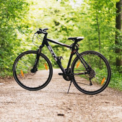 bicycle-bike-forest-100582