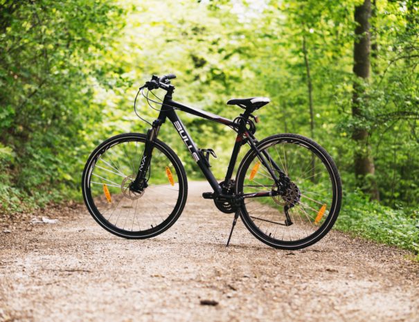 bicycle-bike-forest-100582