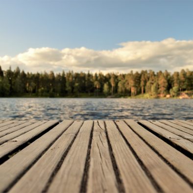 board-boardwalk-bridge-421759