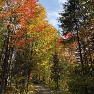 Sentier Brandon